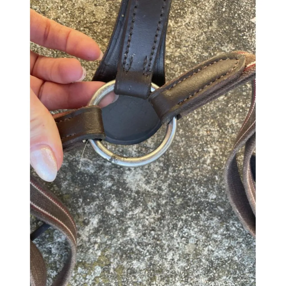 COLLIER DE CHASSE + MARTINGALE