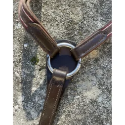 COLLIER DE CHASSE + MARTINGALE