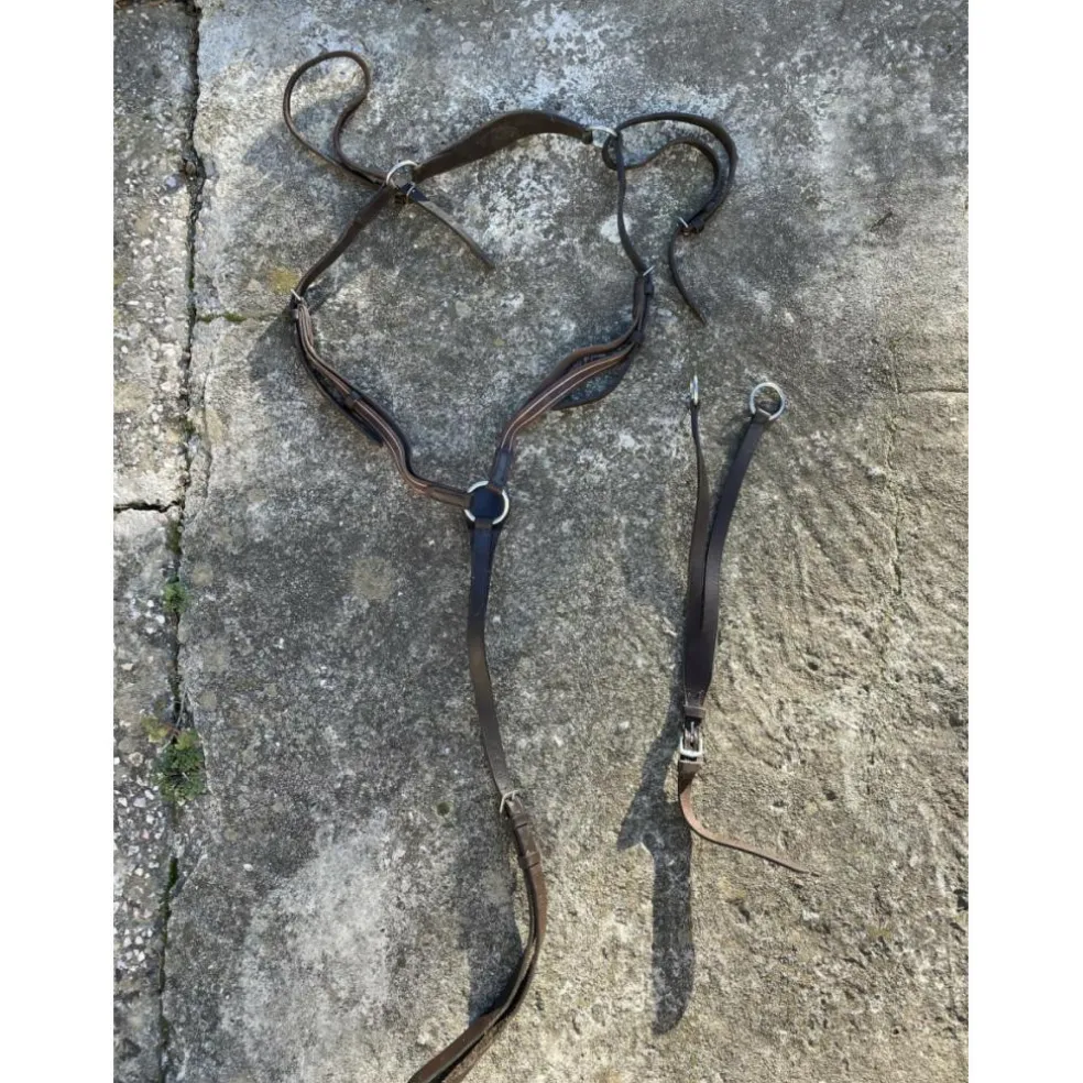 COLLIER DE CHASSE + MARTINGALE