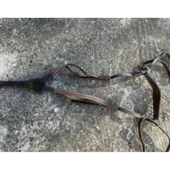 COLLIER DE CHASSE + MARTINGALE