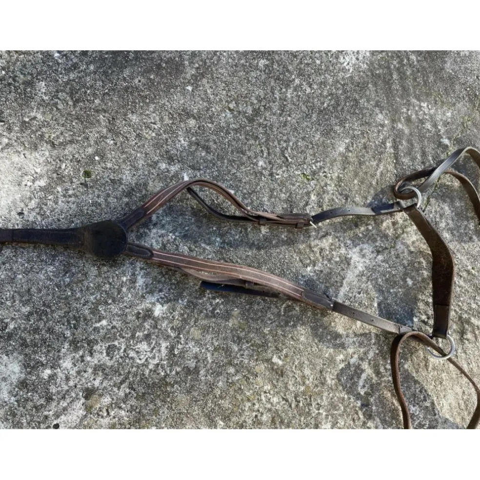 COLLIER DE CHASSE + MARTINGALE