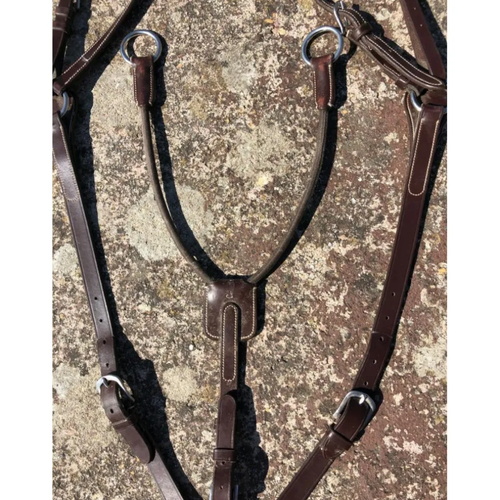 Collier de chasse 5 points Silver Crown