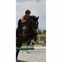 Collier de chasse 5 points noir taille Cheval