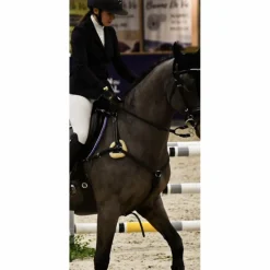 Collier de chasse 5 points noir taille Cheval