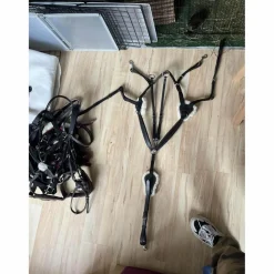 collier de chasse 5 points