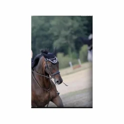 Collier de chasse 3 points Havane