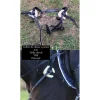 Collier de chasse 5 points