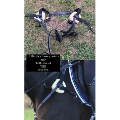 Collier de chasse 5 points
