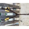 collier de chasse 5 points