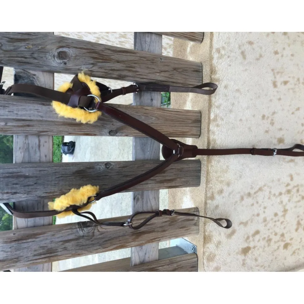 collier de chasse 5 points