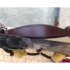 collier de chasse 5 points