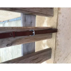 collier de chasse 5 points
