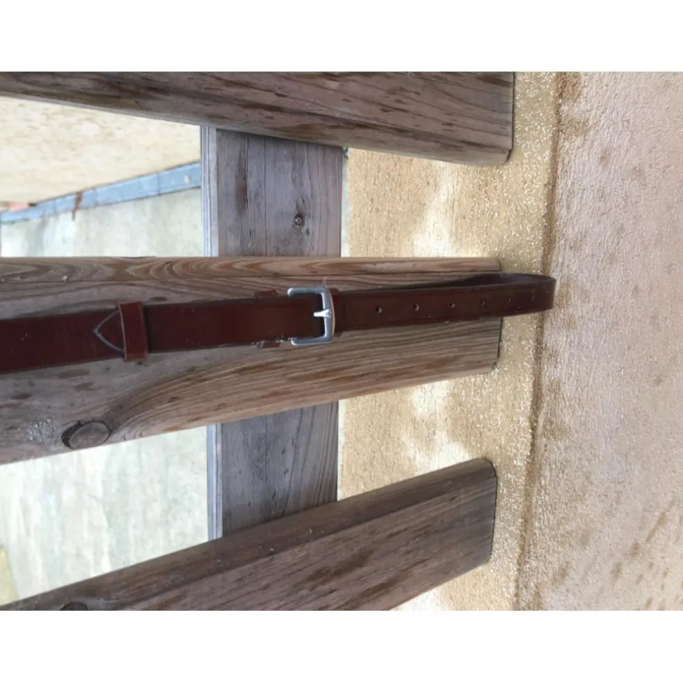 collier de chasse 5 points