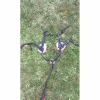 Collier de chasse 5 points