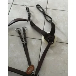 Collier de chasse 5 points