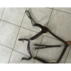Collier de chasse 5 points