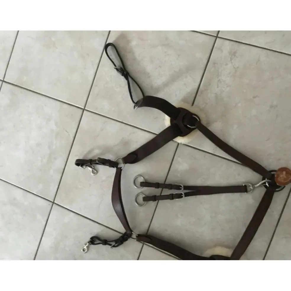 Collier de chasse 5 points