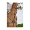 Collier de chasse 5 points Dyon