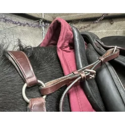collier de chasse 5 points