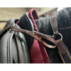 collier de chasse 5 points
