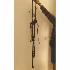 Collier de chasse 3 points jamais utilisé