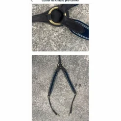 collier de chasse pro tanner