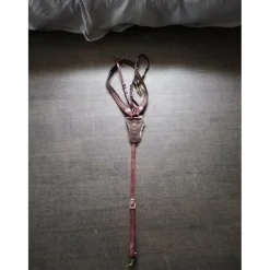 Collier de chasse After Riding Polo