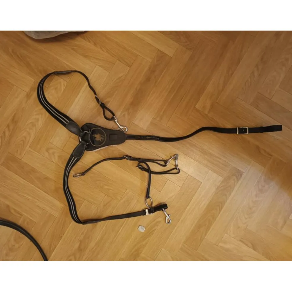 Collier de chasse After r riding