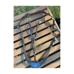 Collier de chasse Antares