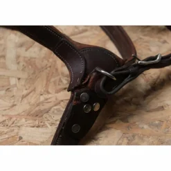 Collier de chasse Antares marron taille cheval