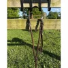 Collier de chasse Antares cheval