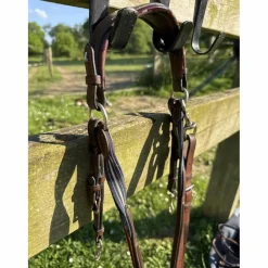 Collier de chasse Antares cheval