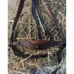 collier de chasse Antares