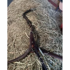 collier de chasse Antares