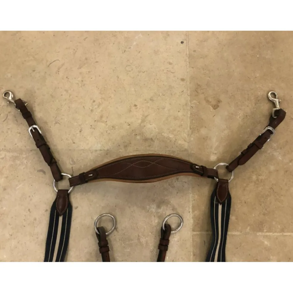 Collier de chasse Antares
