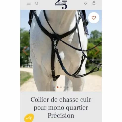 Collier de chasse Antares
