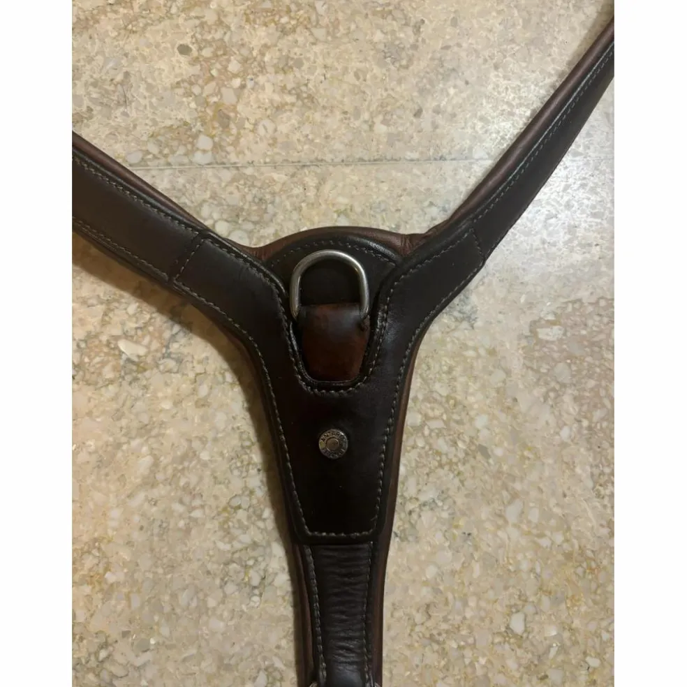 Collier de chasse antares taille 1