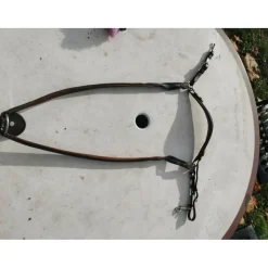 Collier de chasse antares