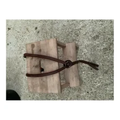 Collier de chasse Antares