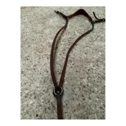 Collier de chasse Antares