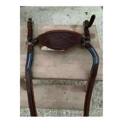 Collier de chasse Antares