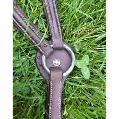 Collier de chasse Antarès