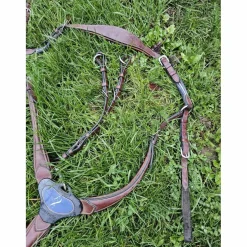 Collier de chasse Antarès