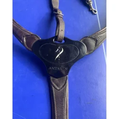 collier de chasse antarès