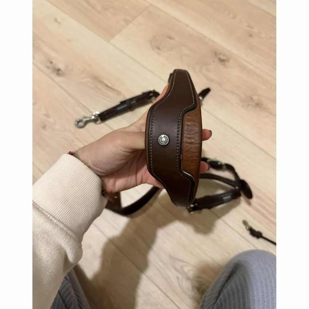 collier de chasse Antarès Marron