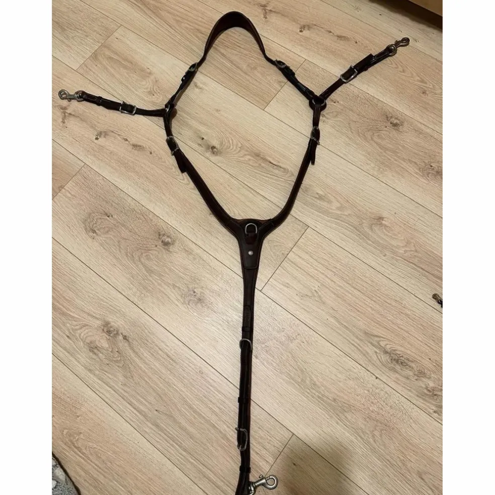 collier de chasse Antarès Marron