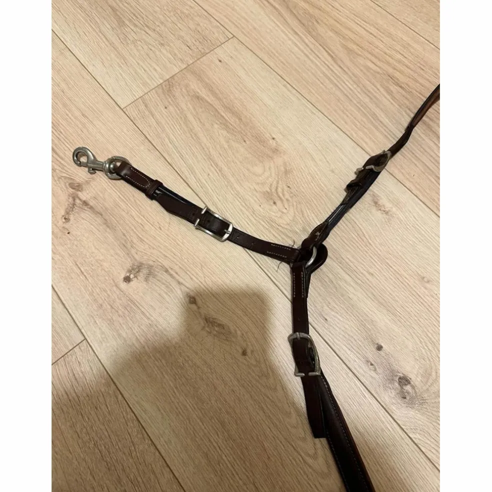 collier de chasse Antarès Marron