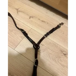 collier de chasse Antarès Marron
