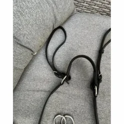 collier de chasse avec fourche