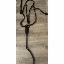Collier de chasse avec martingale